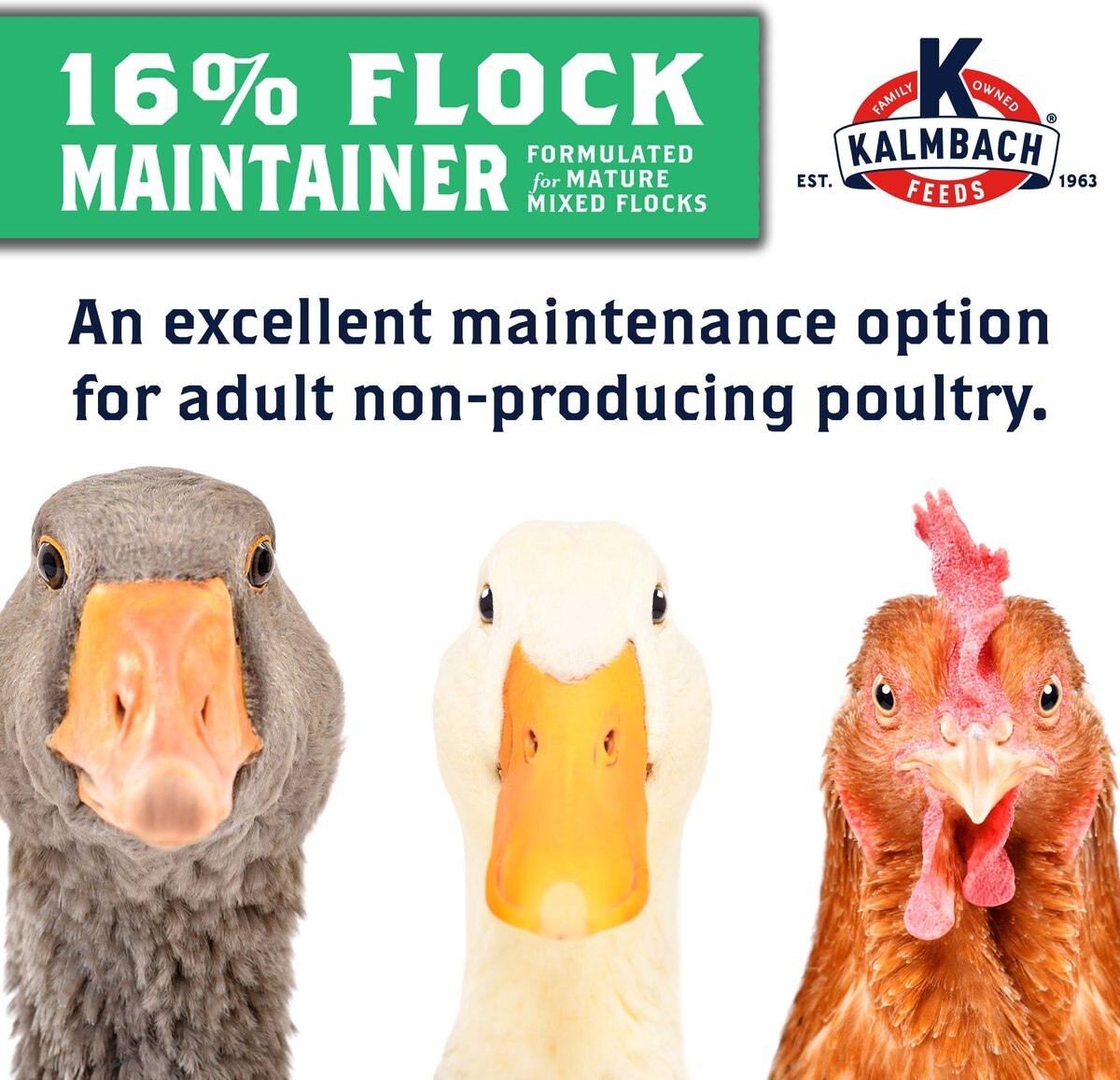 Kalmbach Feeds All Natural 16% Flock Maintainer Poultry Feed