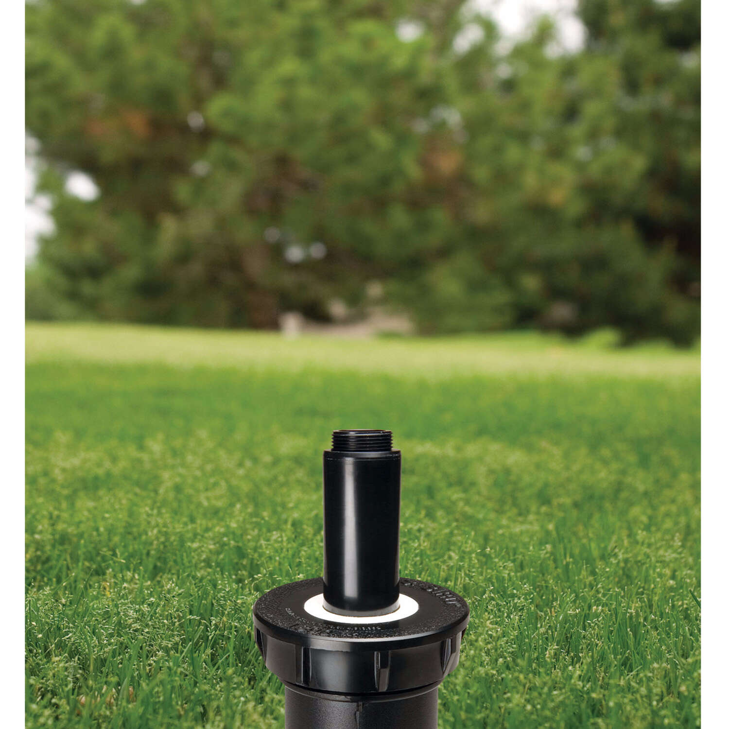 Rain Bird 1800 Series 2 in. H Adjustable Pop-Up Sprinkler