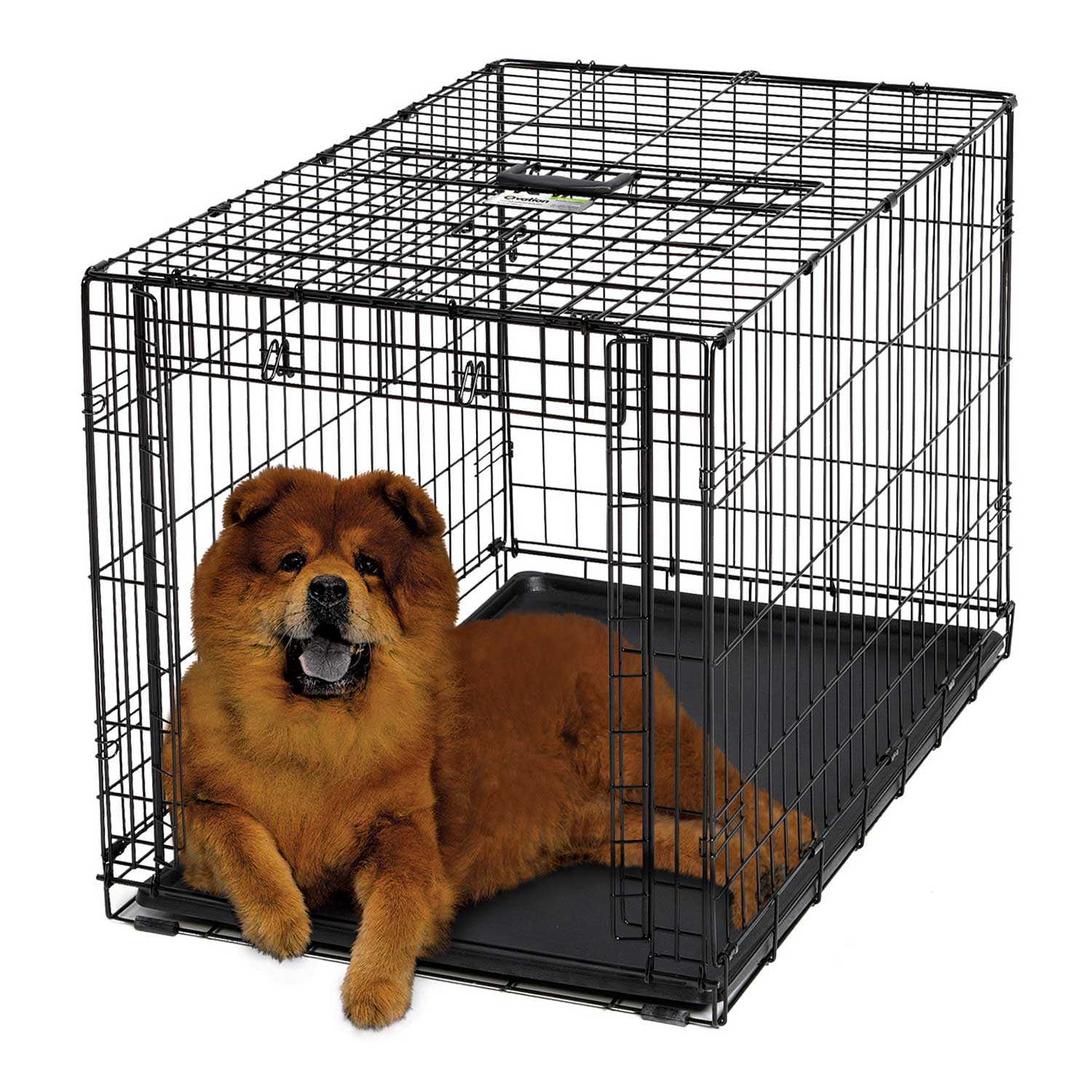 Midwest Ovation Single Door Folding Dog Crate， 38