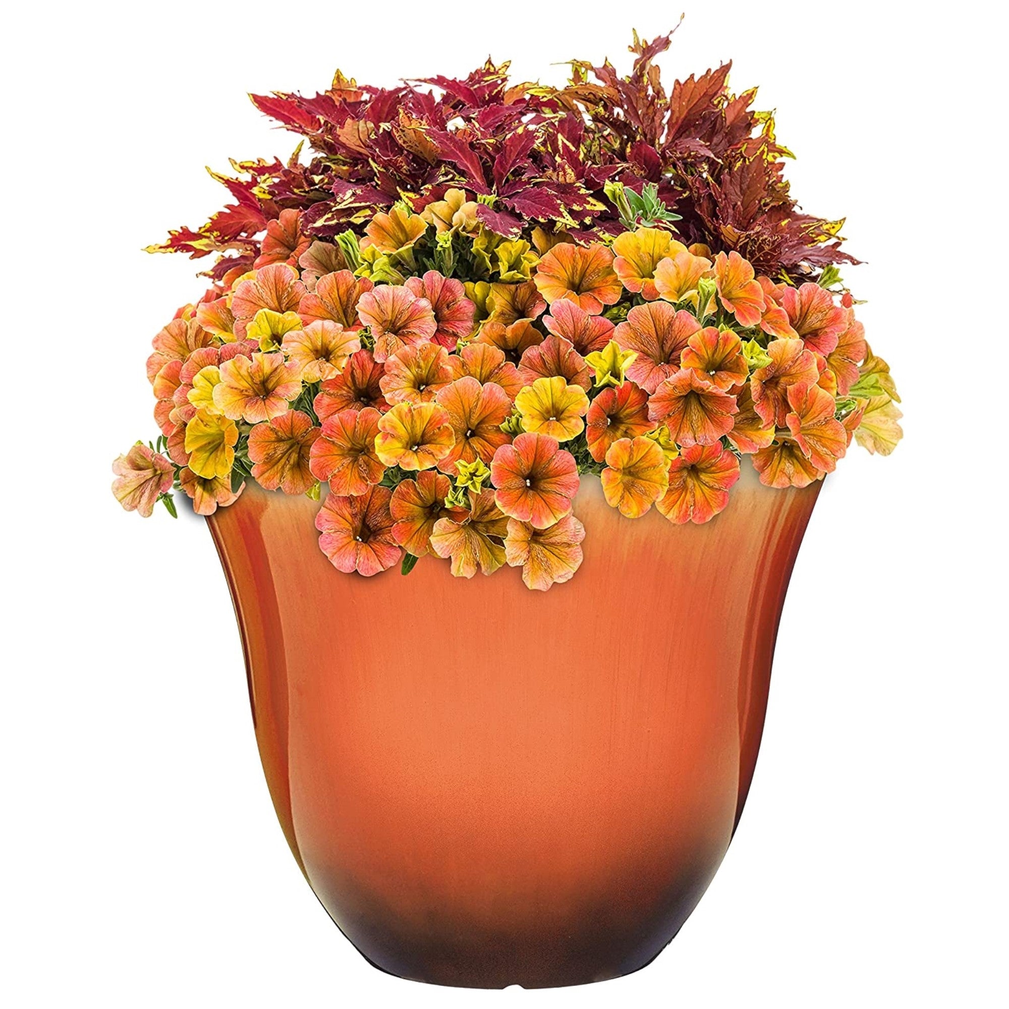 Classic Home and Garden Honeysuckle Resin Flower Pot Planter, Tequila Sunrise, 15"