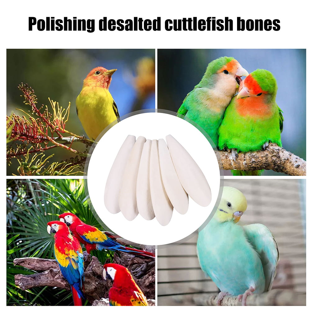 Countdown 12pcs Bird Cuttlebone Chew Toy Cuttlefish Bones Parrot Cage Toys Bird Bite Toy for Aquarium Reptile Tortoise Turtle Cockatiel 14cm