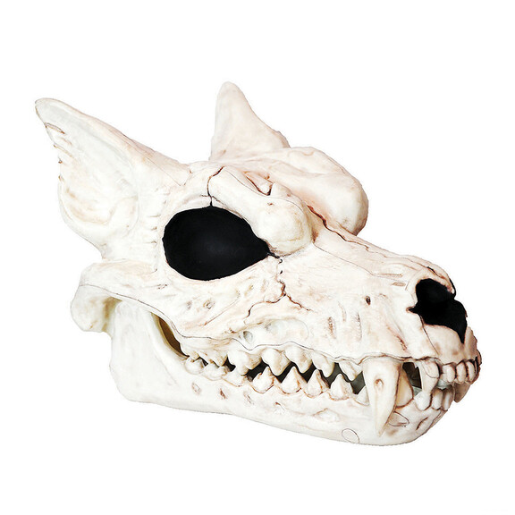 Morris Costumes SEW80699 Werewolf Skull Halloween ...