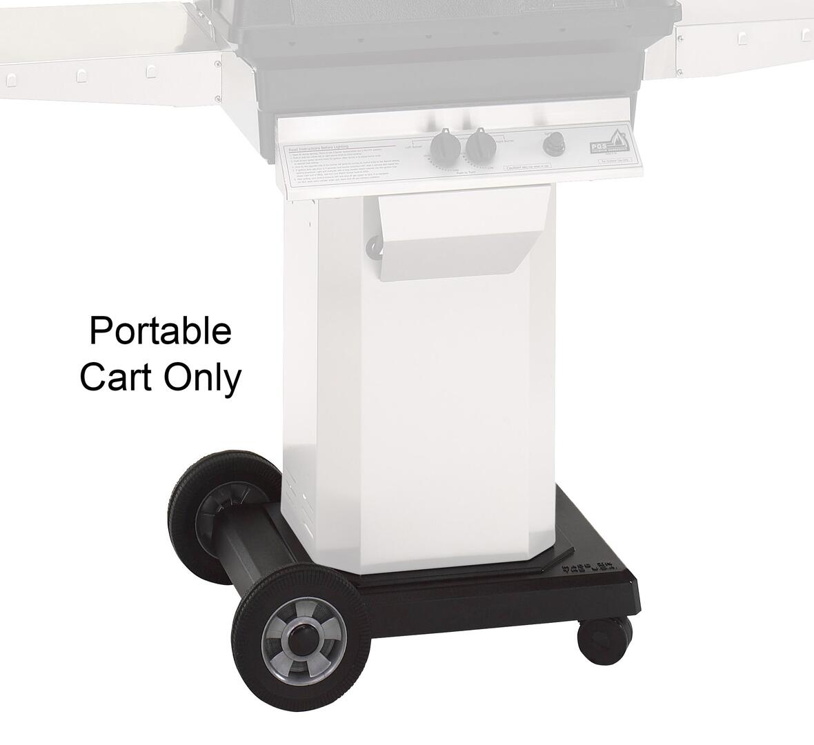 PGS ASPED-ANC Mounting Kit with Stainless Steel Pedestal and ANC Natural Gas Portable Base (Grill Head Not Included)