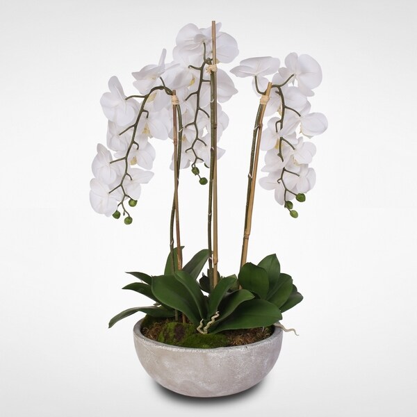 Silk White Phalaenopsis Orchids and Succulents in a Modern Stone Bowl