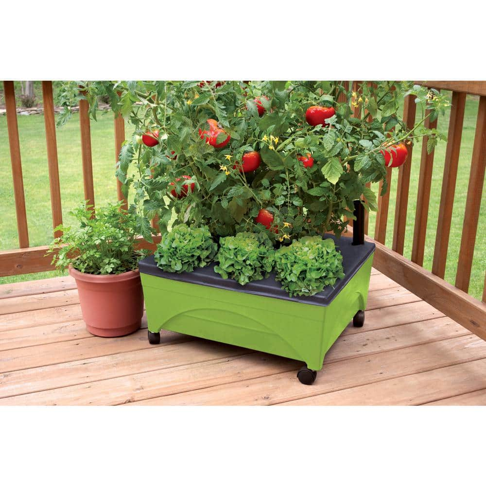 CITY PICKERS 24.5 in. x 20.5 in. Patio Raised Garden Bed Kit with Watering System and Casters in Limey Green 2343-1HD