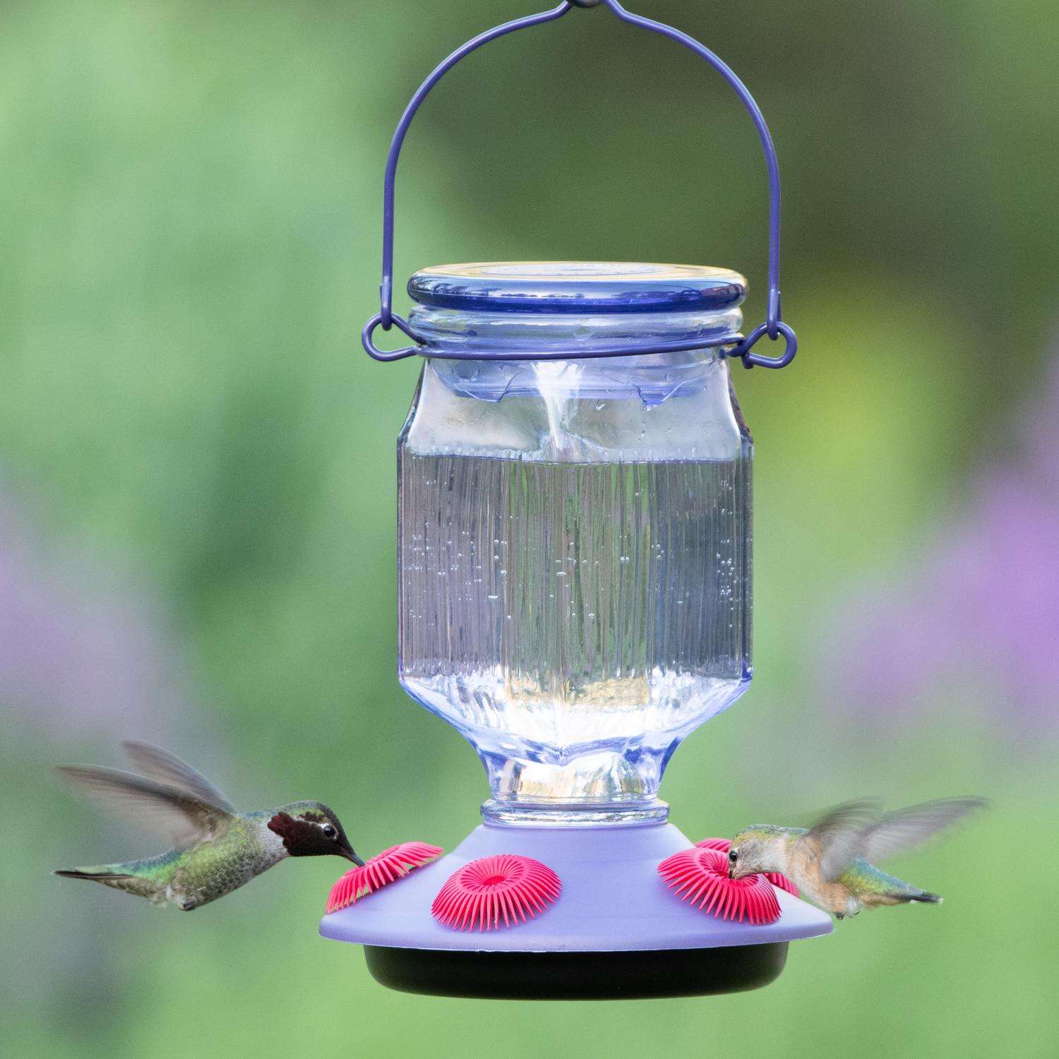 Perky-Pet Hummingbird 16 oz Glass/Plastic Nectar Feeder 5 ports