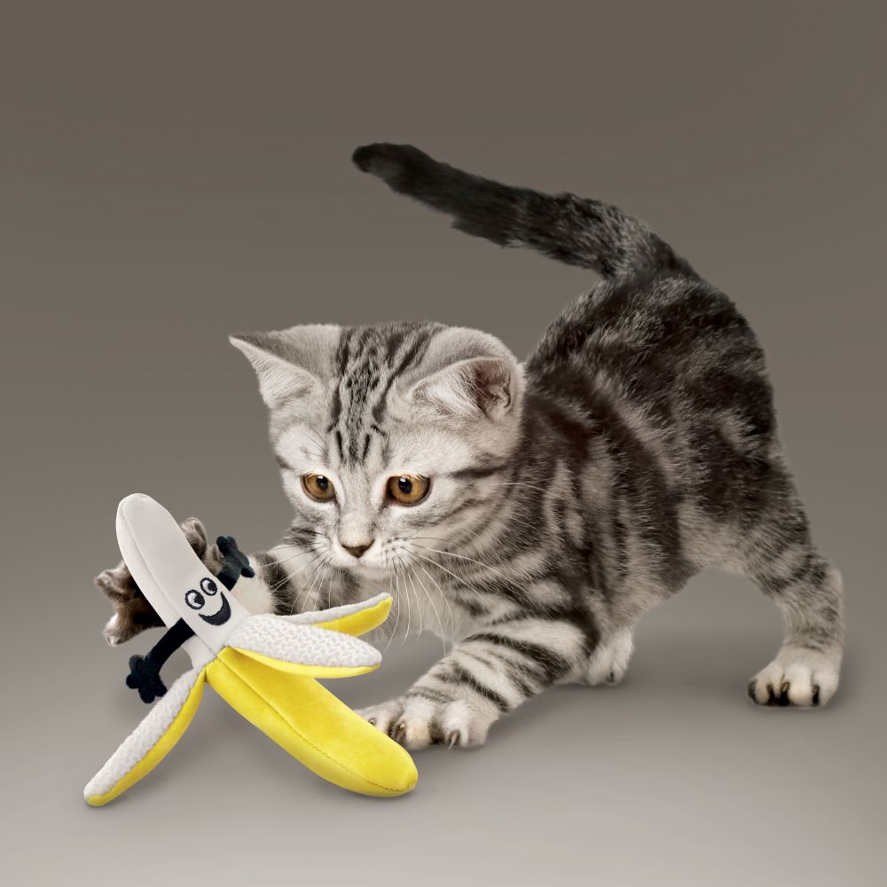 Kong Better Buzz Banana Cat Toy