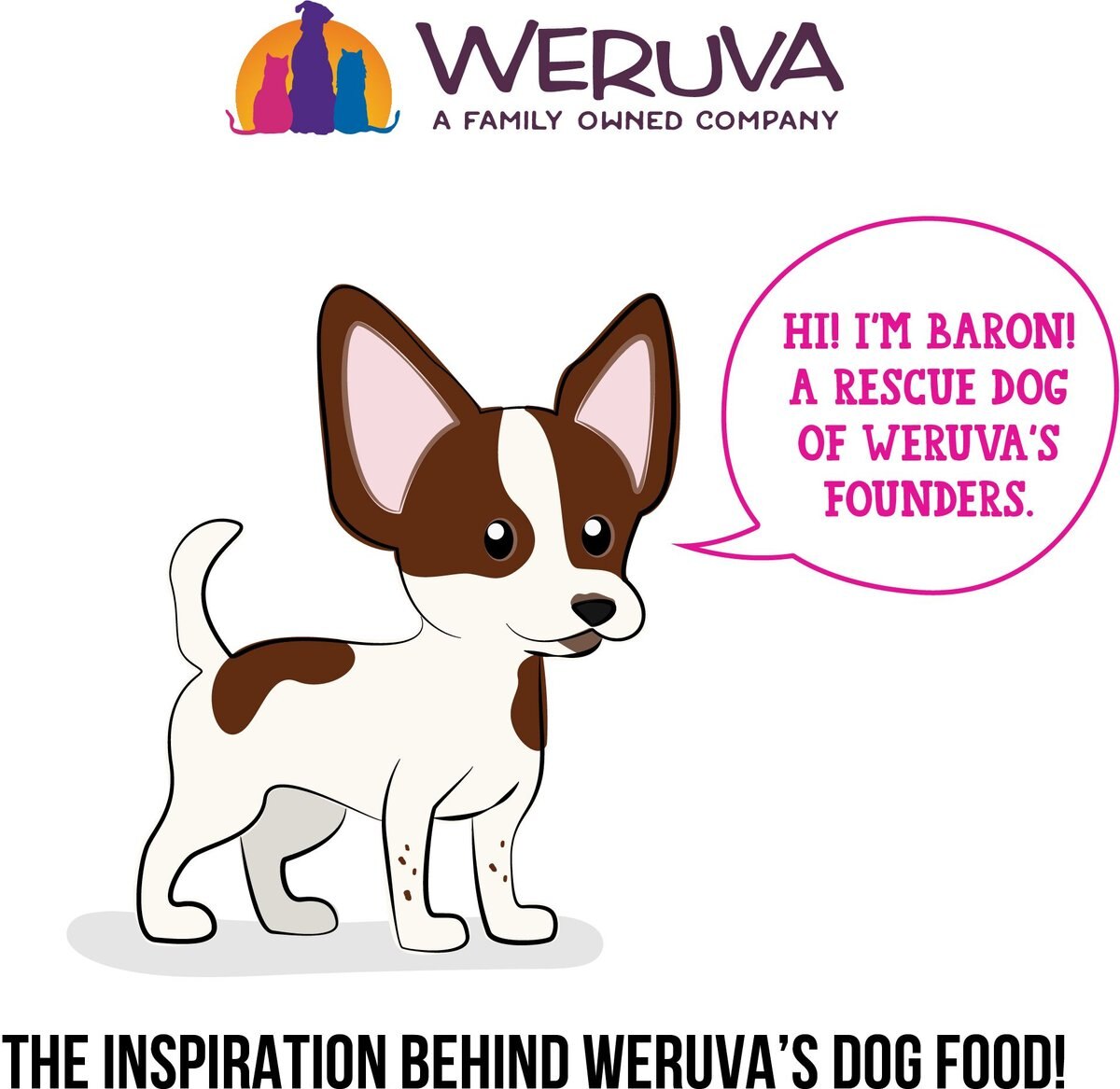 Weruva Dogs in the Kitchen Fowl Ball with Chicken Breast and Turkey Au Jus Grain-Free Canned Dog Food