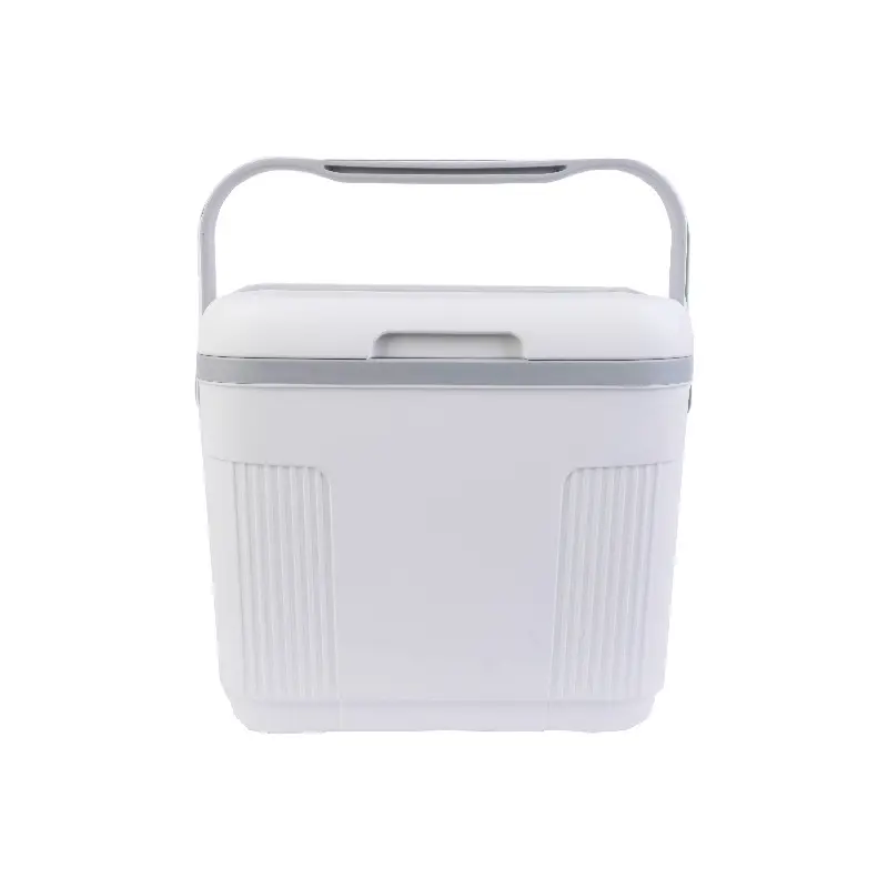 Colorful custom portable outdoor small capacity 22l PE/PP/PU ice chest cooler box for camping traveling