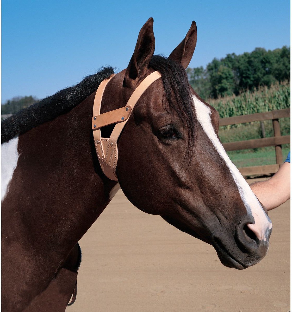 Weaver Leather Horse Miracle Collar， Golden Brown