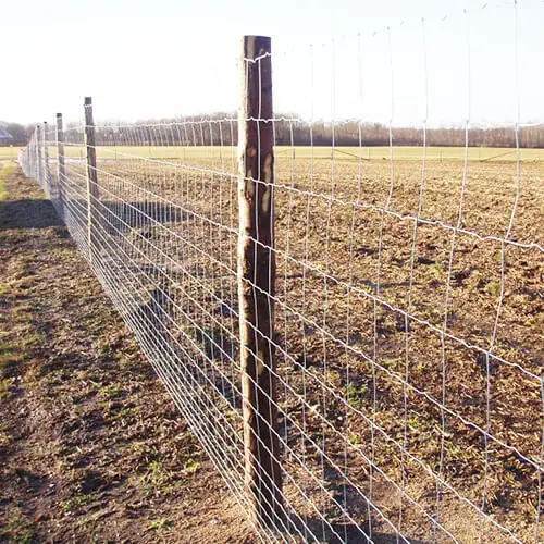 Cheap factory supply 0.9m/ 1.2m/1.5m /1.8m/2m/2.5m farm fence