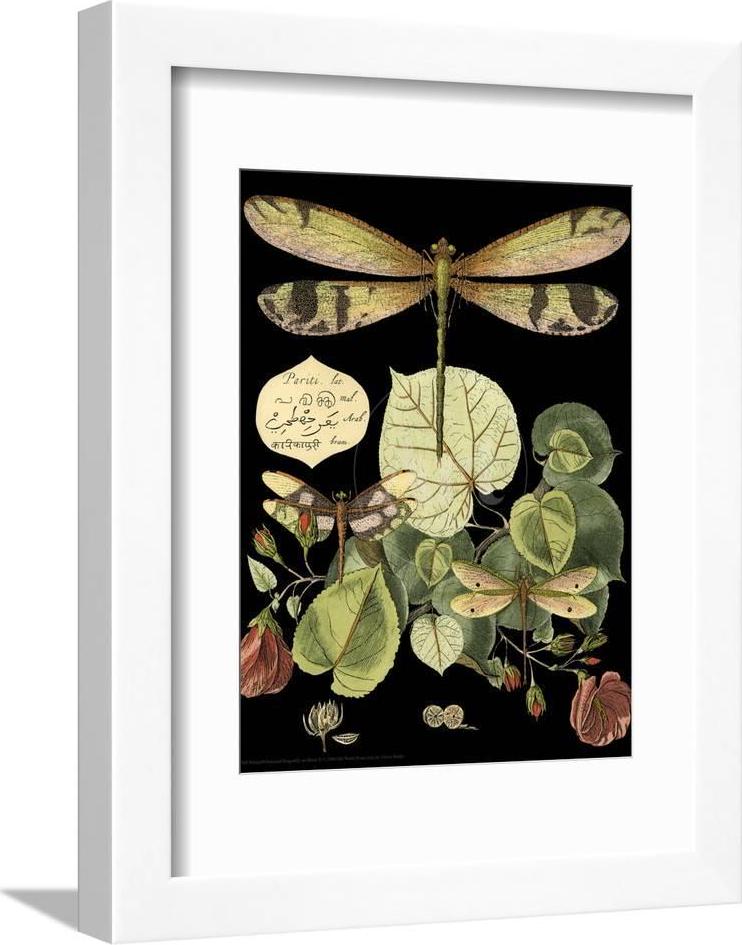 Whimsical Dragonfly on Black II Framed Print Wall Art by Vision Studio Sold by Art.Com