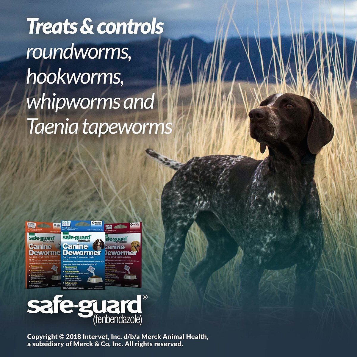 Safe-Guard Dewormer for Hookworms， Roundworms， Tapeworms and Whipworms for Large Breed Dogs