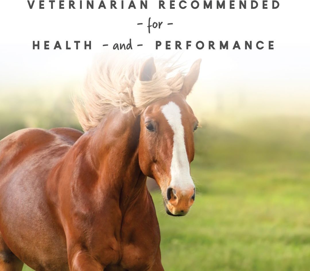 Manna Pro Sho-Glo Complete Vitamin and Mineral Supplement for Healthy Skin and Coat Horse Supplement， 5-lb bag