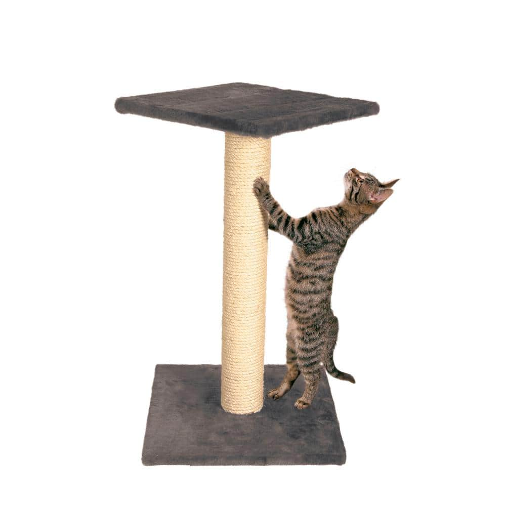 TRIXIE Gray Espejo Scratching Post 43342