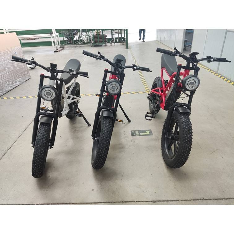 electric cycling bike 500W 750W 1000W moped e motorcycle 48V 52V 20 Ah battery bicicleta electrica for sale