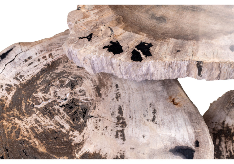 Petrified Wood Coffee Table Set  3 Piece Set  Versmissen   Contemporary   Coffee Table Sets   by Oroa   Distinctive Furniture  Houzz