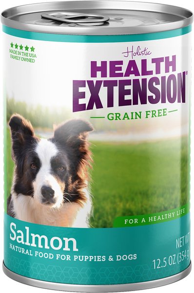 Health Extension Grain-Free Salmon Entree Canned Dog Food