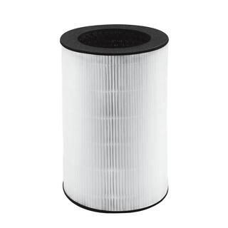 HoMedics Replacement 360 True HEPA Filter AP-T30FL