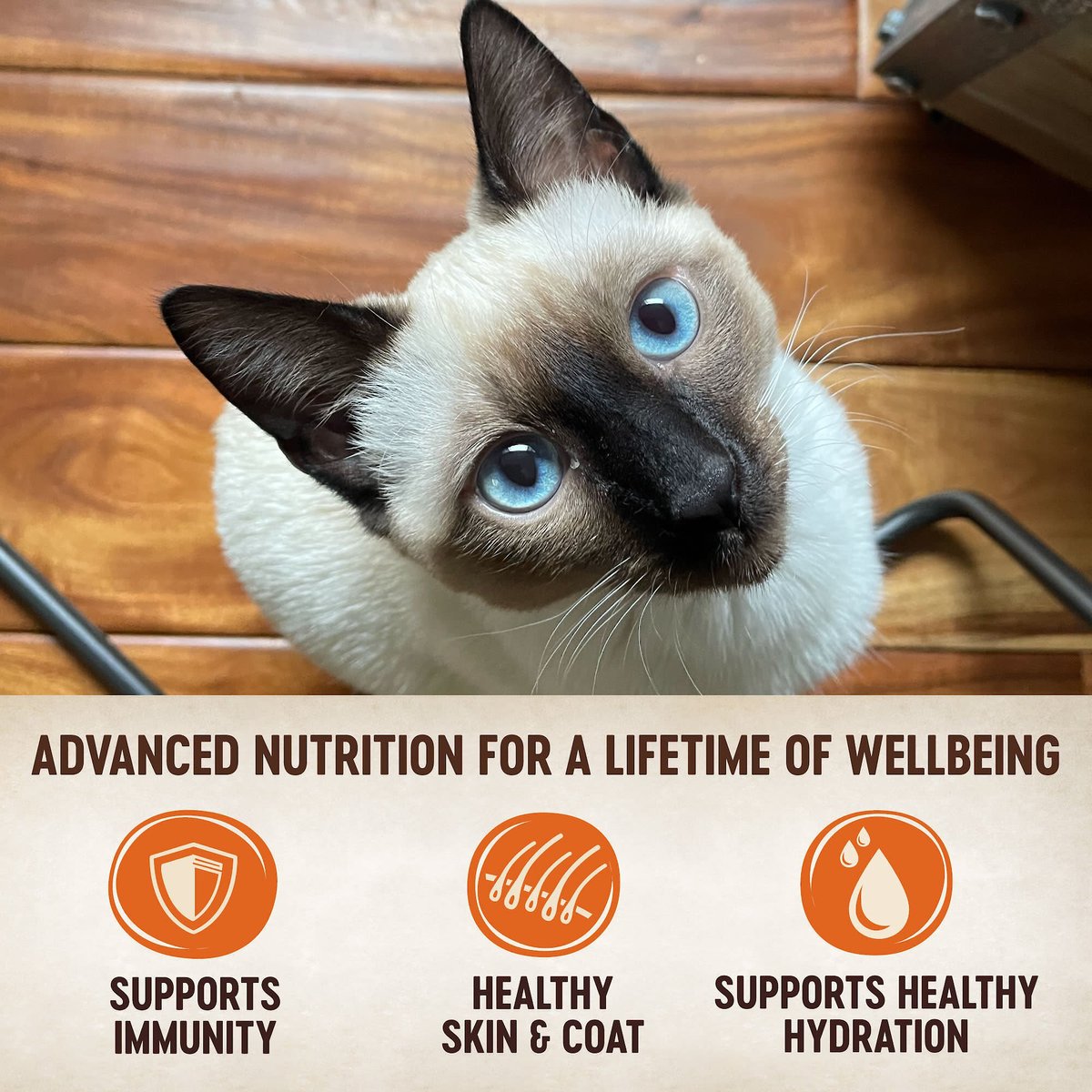 Wellness CORE Tiny Tasters Duck Pate Grain-Free Cat Food Pouches