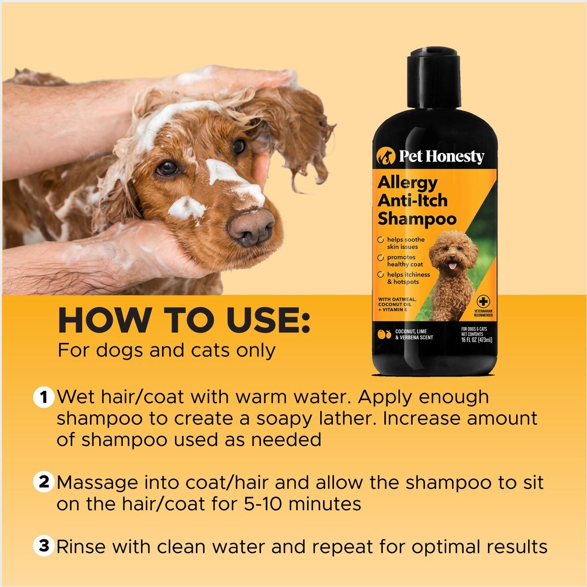 PetHonesty Allergy Anti-Itch Dog and Cat Shampoo， 16-oz bottle