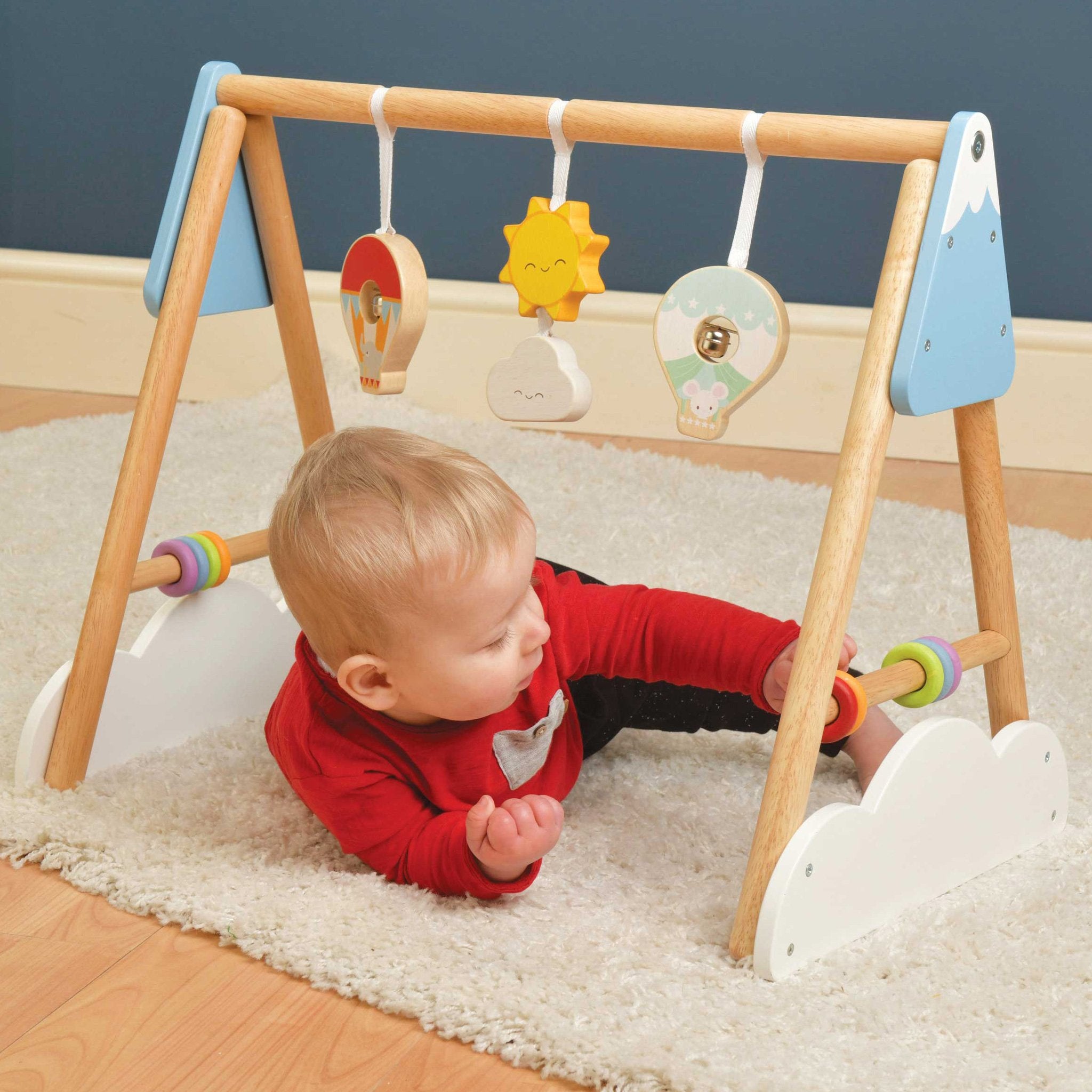 Baby Gym by Le Toy Van