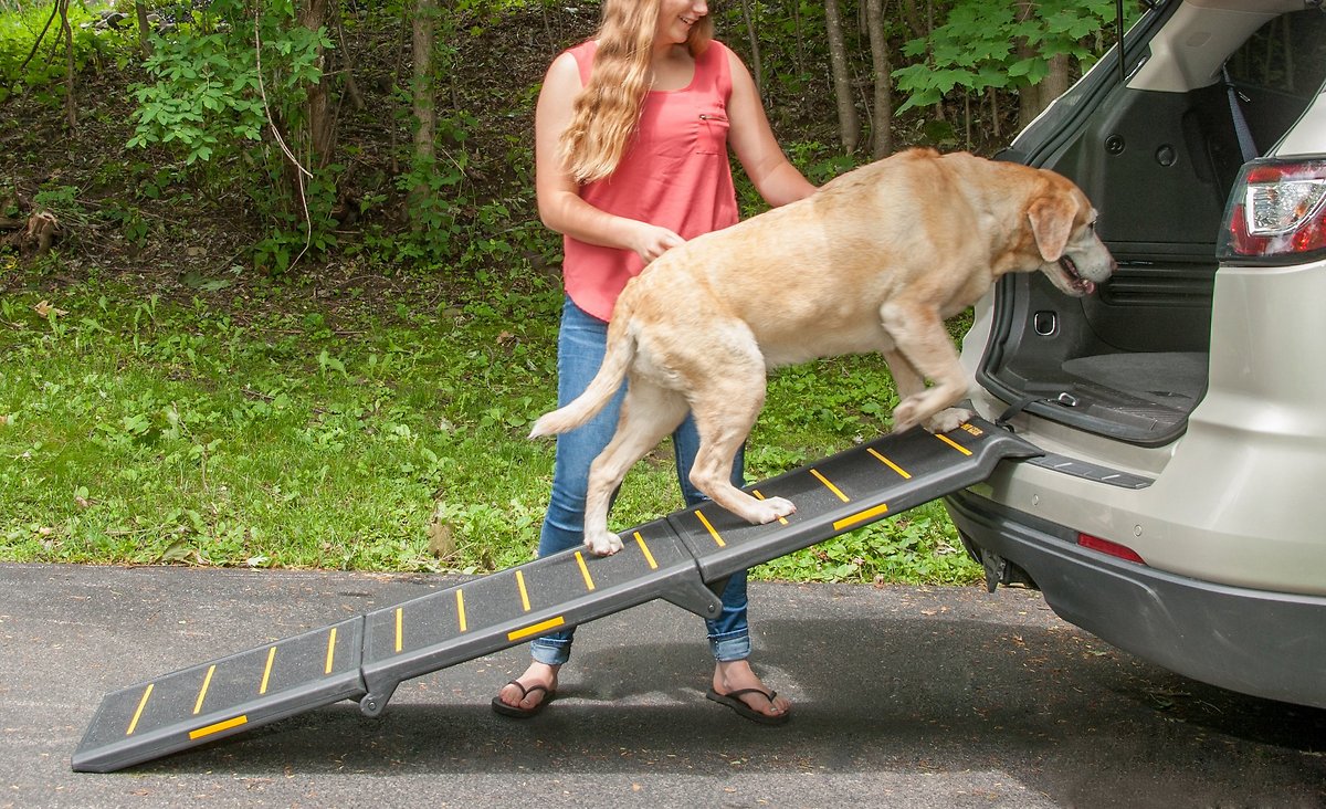 Pet Gear Reflective Extra Wide Foldable Dog Car Ramp， Tri-fold