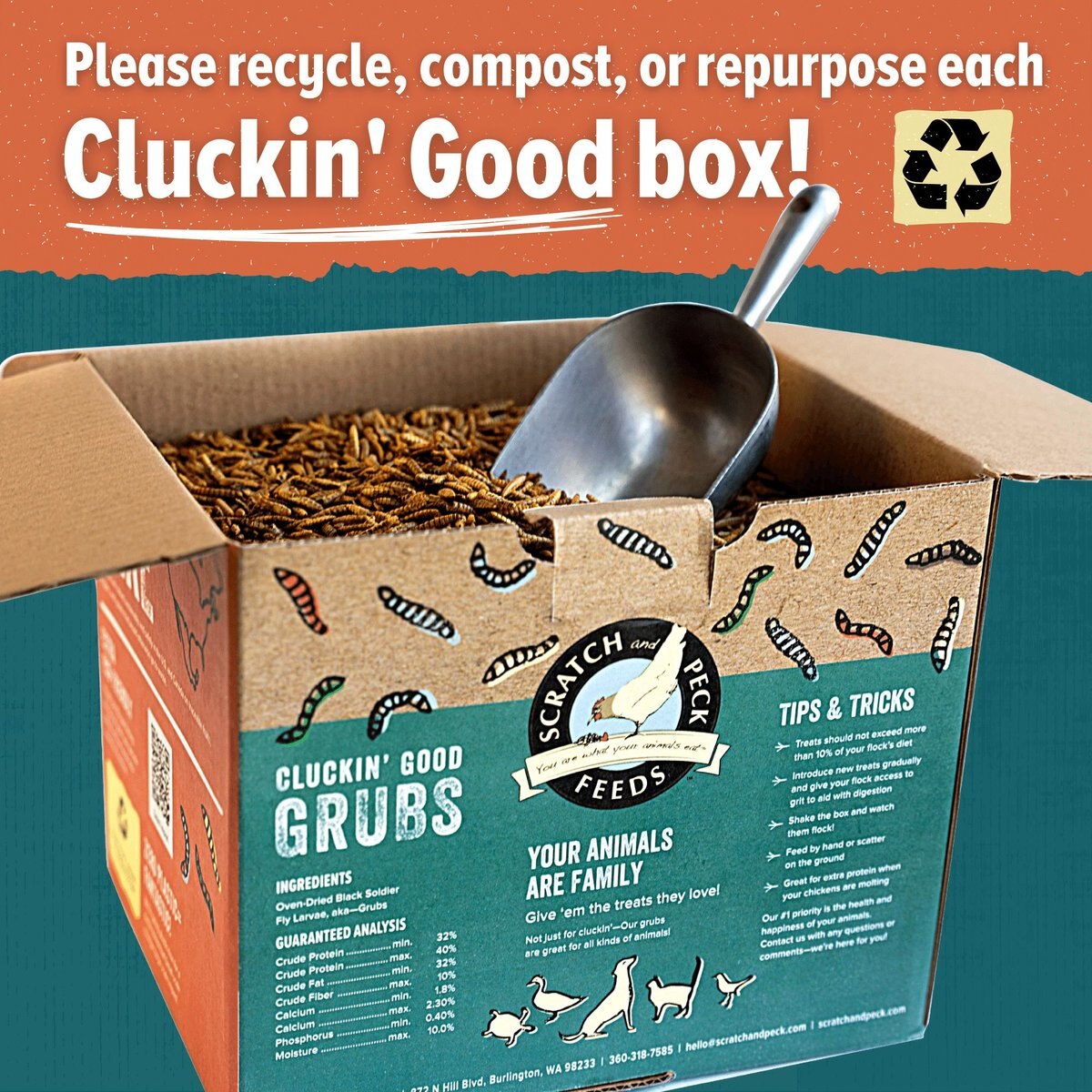 Scratch and Peck Feeds Cluckin' Good Grubs Poultry Treats， 8-lb box