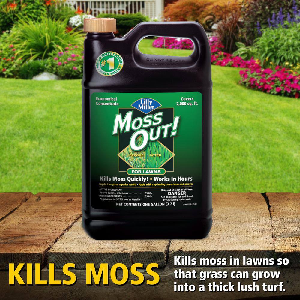 Moss Out! 1 Gal. Moss Out! Moss Killer for Lawns 100099156