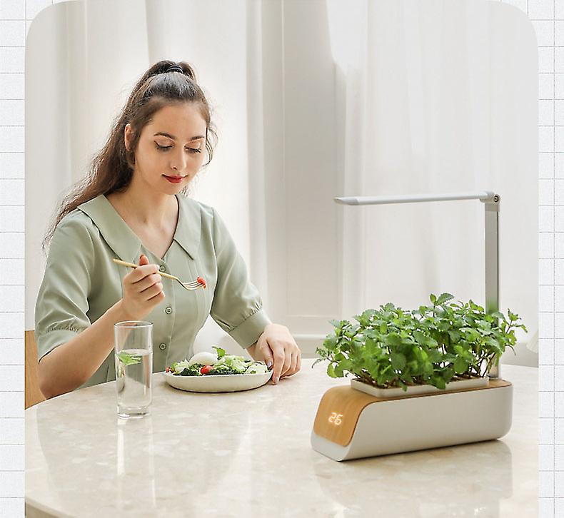 Indoor Herb Garden Kit With Grow Light | Smart Garden For Home Kitchen Windowsill | Easier Than Hydroponics Growing System