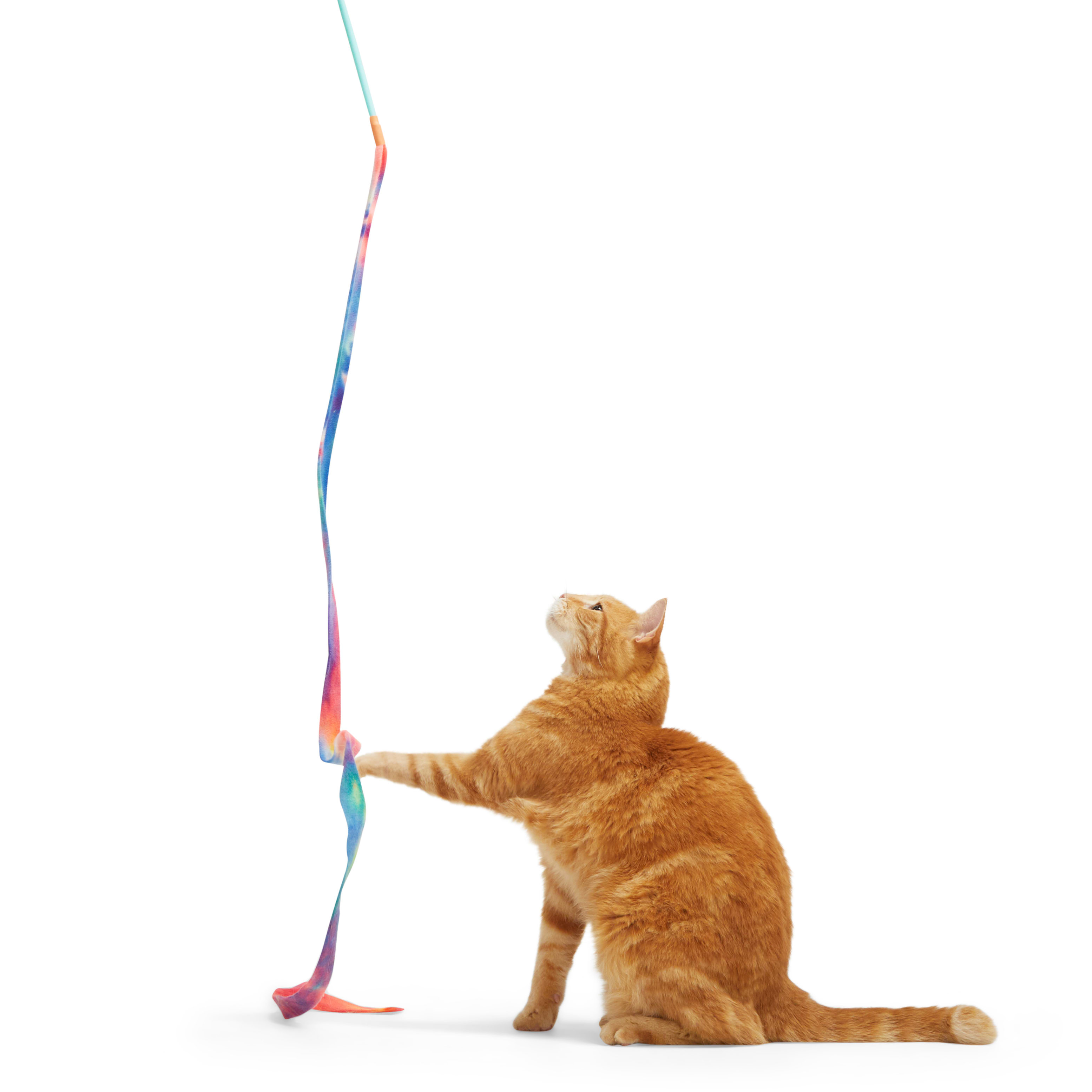 Leaps  Bounds Rainbow Teaser Cat Toy， X-Large