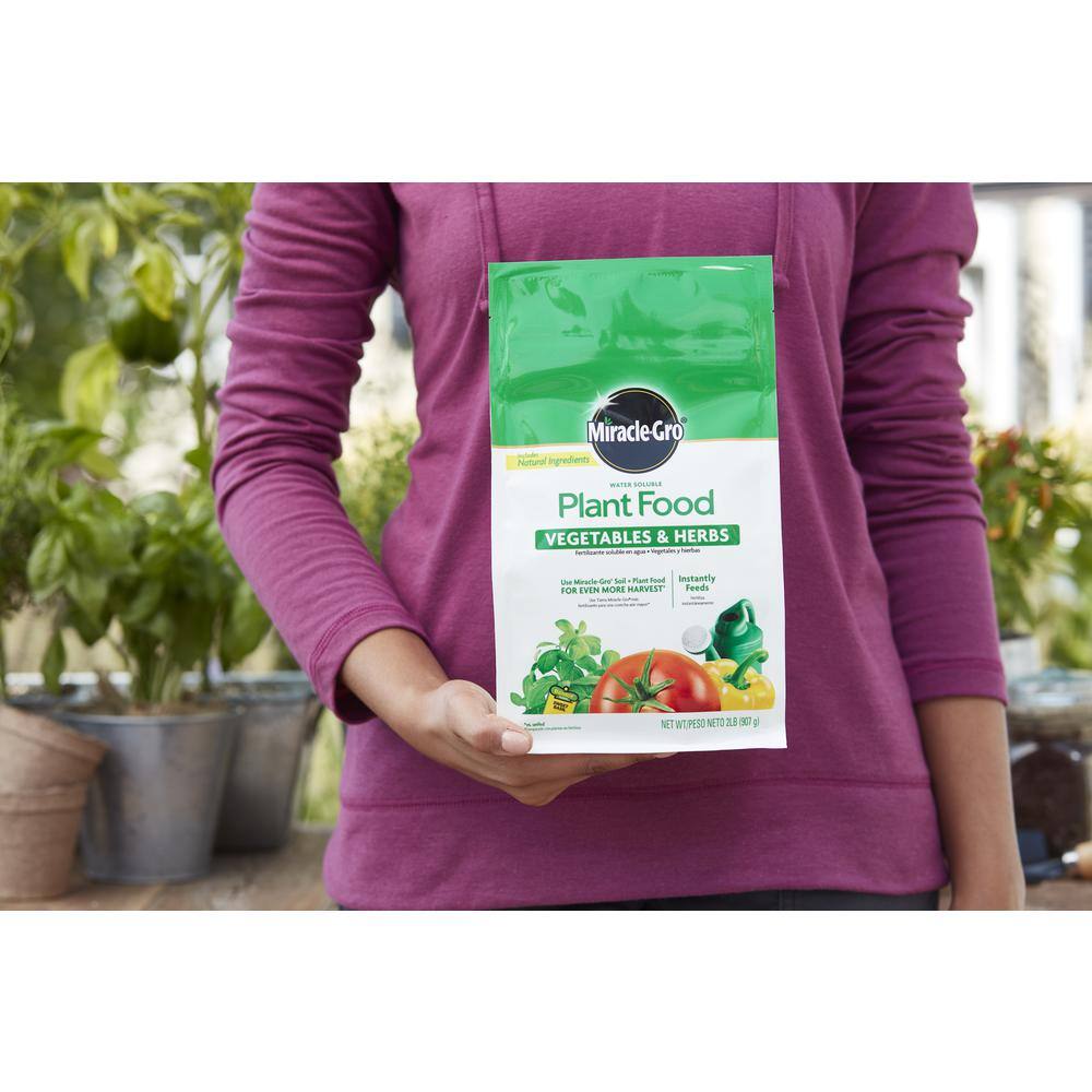 Miracle-Gro 2 lbs. Miracle Gro Water Soluble Veggie and Herb Plant Food 3003710