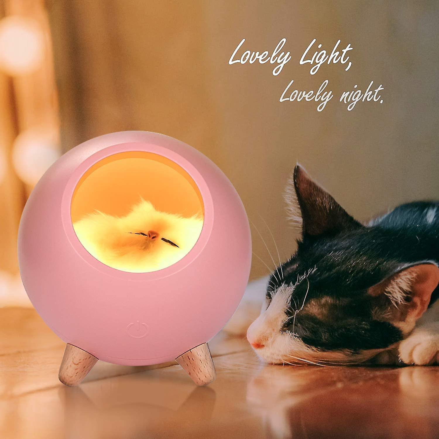 Children Night Light Cat Lamp Simple Cat Pet House Table Lamp Dual Power Usb Charging Touch