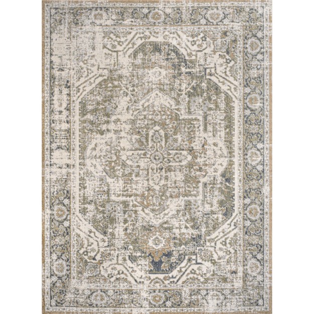 Jonathan Y Keesha Bold Distressed Medallion Low pile Machine washable Indoor Area Rug