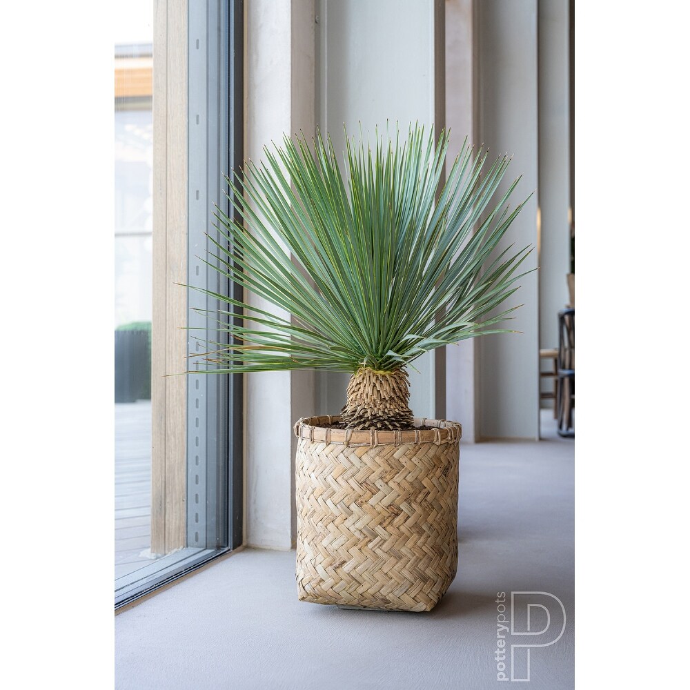 Pottery Pots Zayn Bamboo Indoor Outdoor Round Planter  Natural Finish