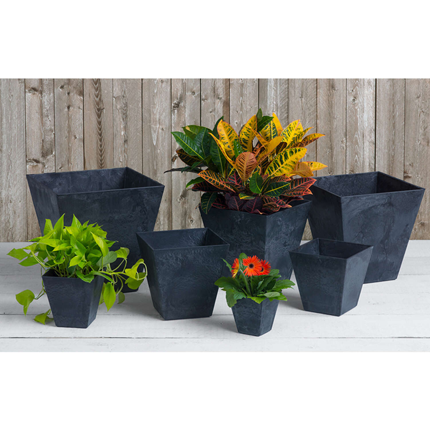 Novelty Artstone 10 in. H X 9.8 in. W X 9.8 in. D Resin Ella Planter Black