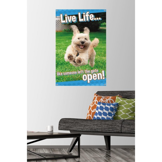 Trends International Avanti Dog Joy Unframed Wall Poster Prints