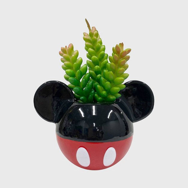 Disney 2pc Indoor outdoor Ceramic Mickey And Minnie Mouse Classic Succulent Set