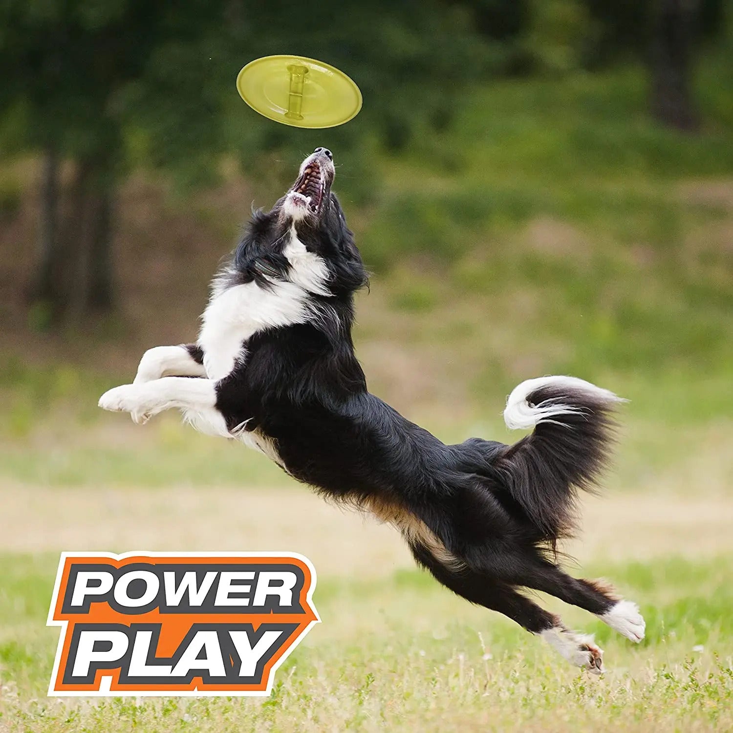 Nylabone Power Play Ultra Glider Gripz Dog Flying Disc Ultra Glider， 1ea/Large 1 ct - PDS-018214851622