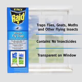 Raid Window Fly Trap (4- Pack) FTRP-RAID