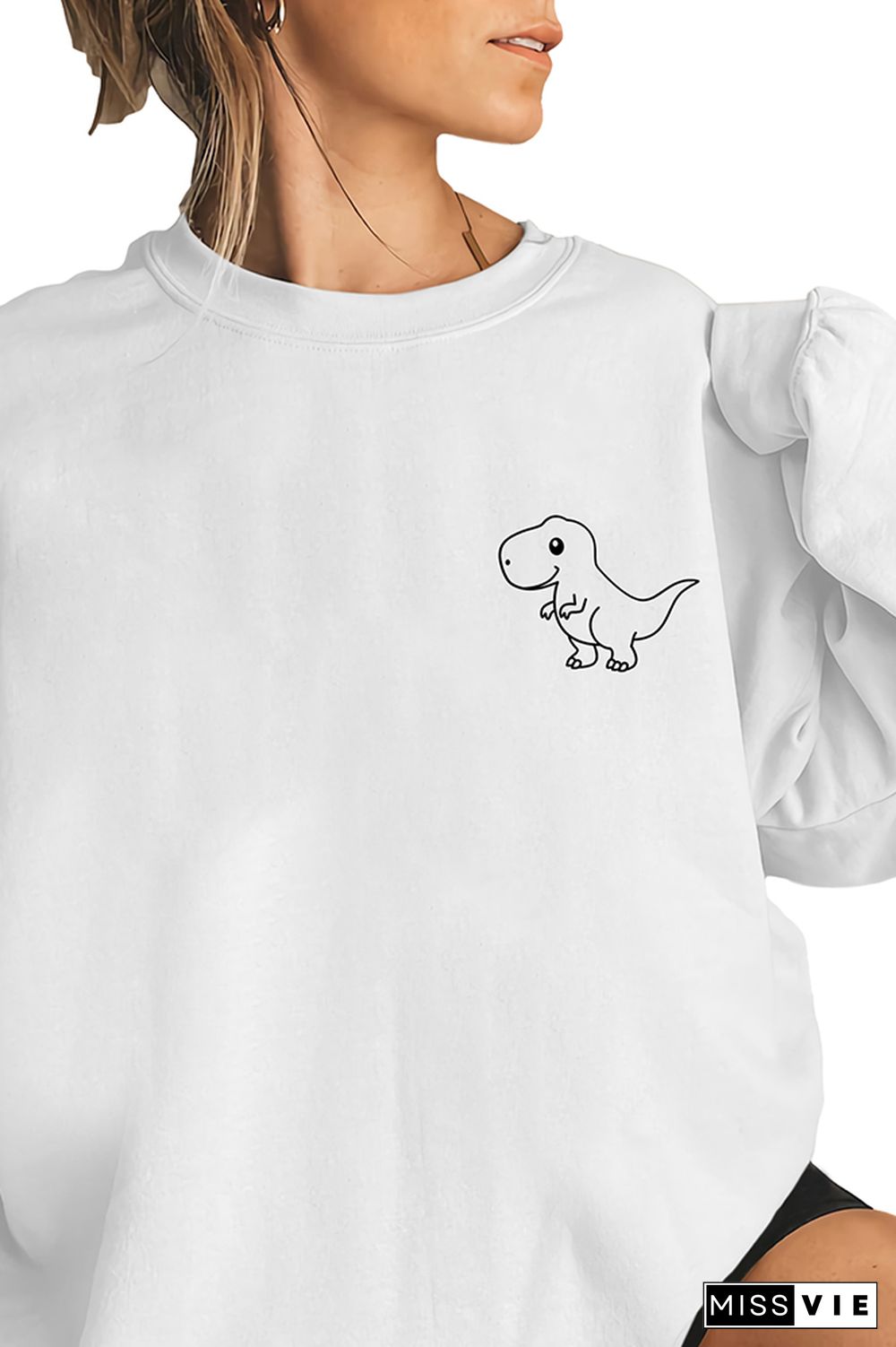 Dinosaur Birthday Party Sweatshirt Wholesale