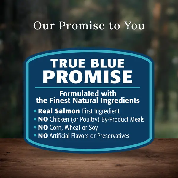 Blue Buffalo Wilderness 28 lb Salmon High Protein Adult Dry Dog Food plus Wholesome Grains