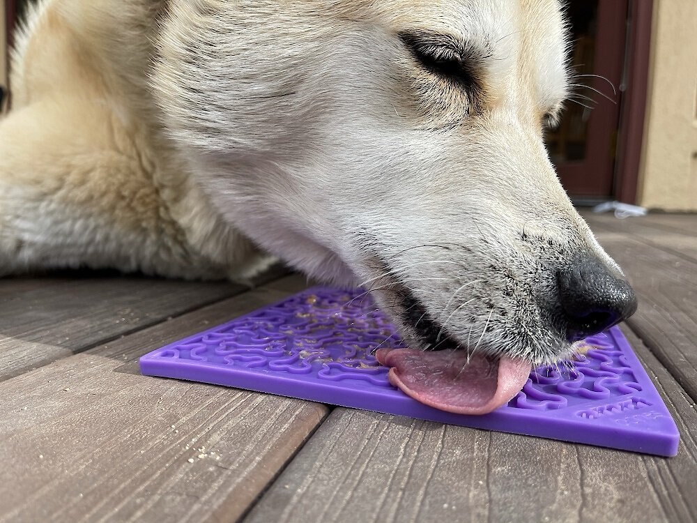 SodaPup Emat Bones Dog Lick Mat