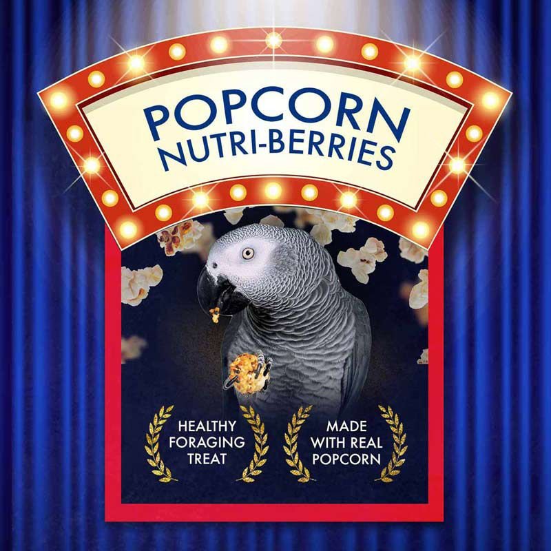 Lafeber Popcorn Nutri-Berries Parrot Bird Treat