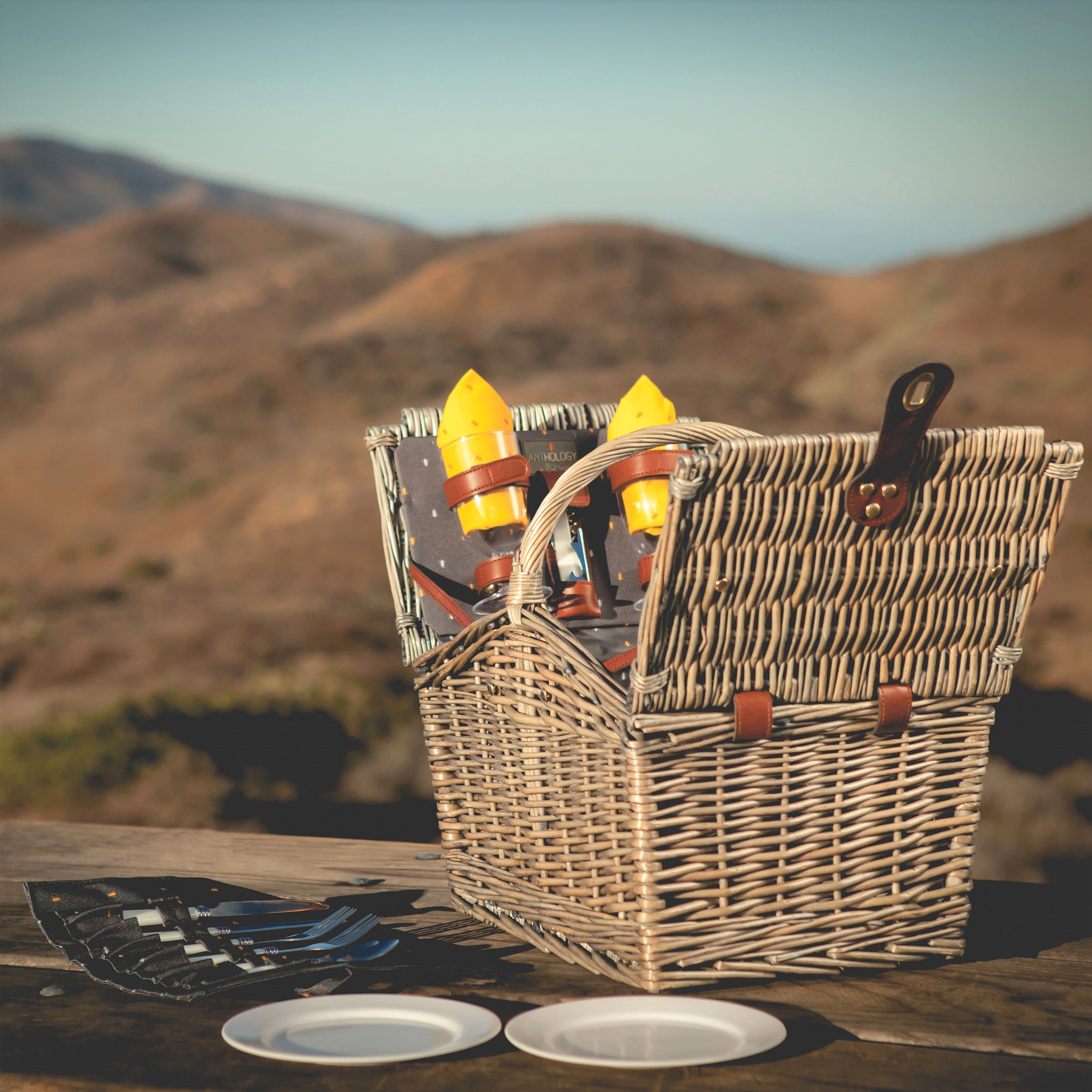 Piccadilly Picnic Basket