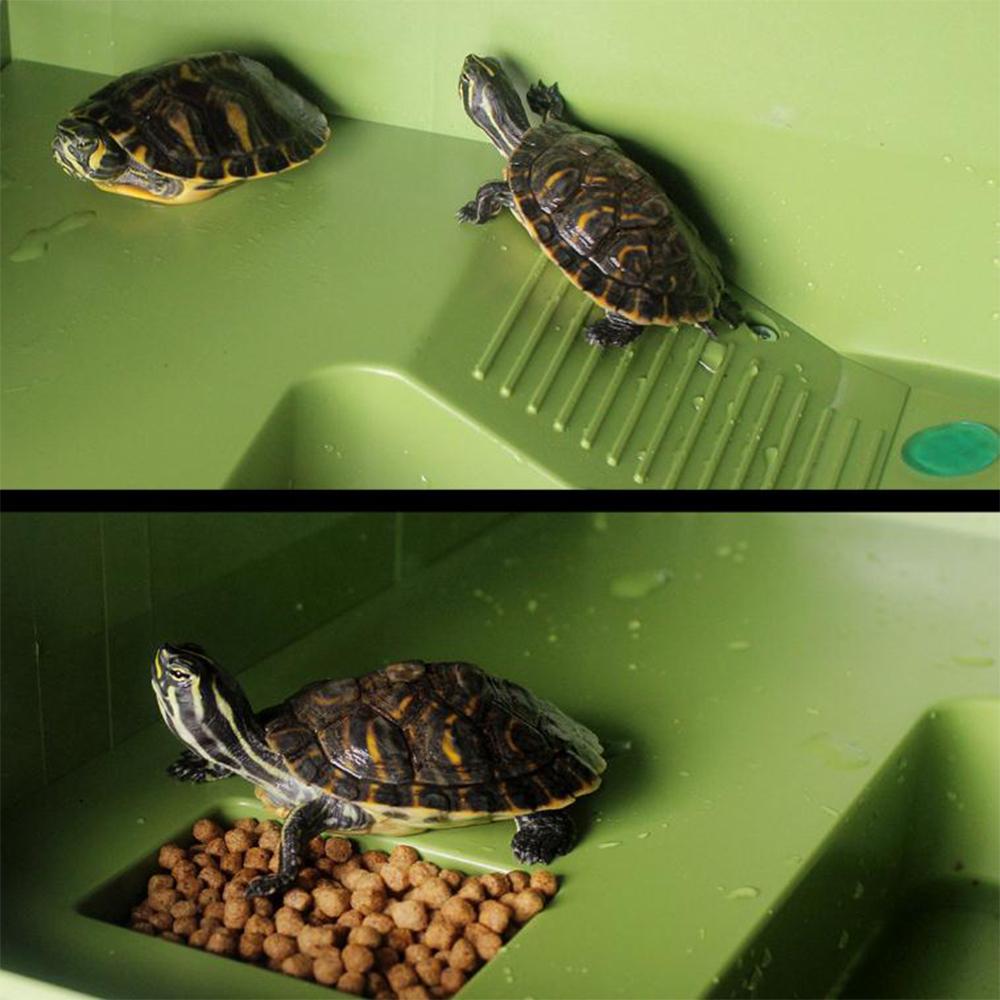 Reptile Floating Basking Platform Turtle Corner