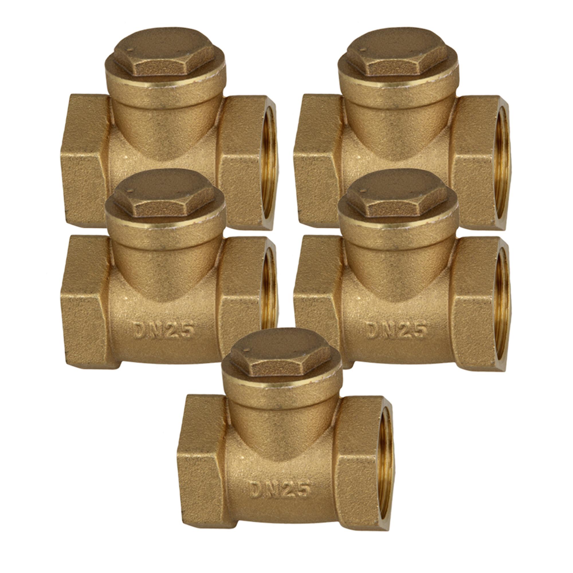 Brass Thread Female BSPP Swing Check Valve DN25