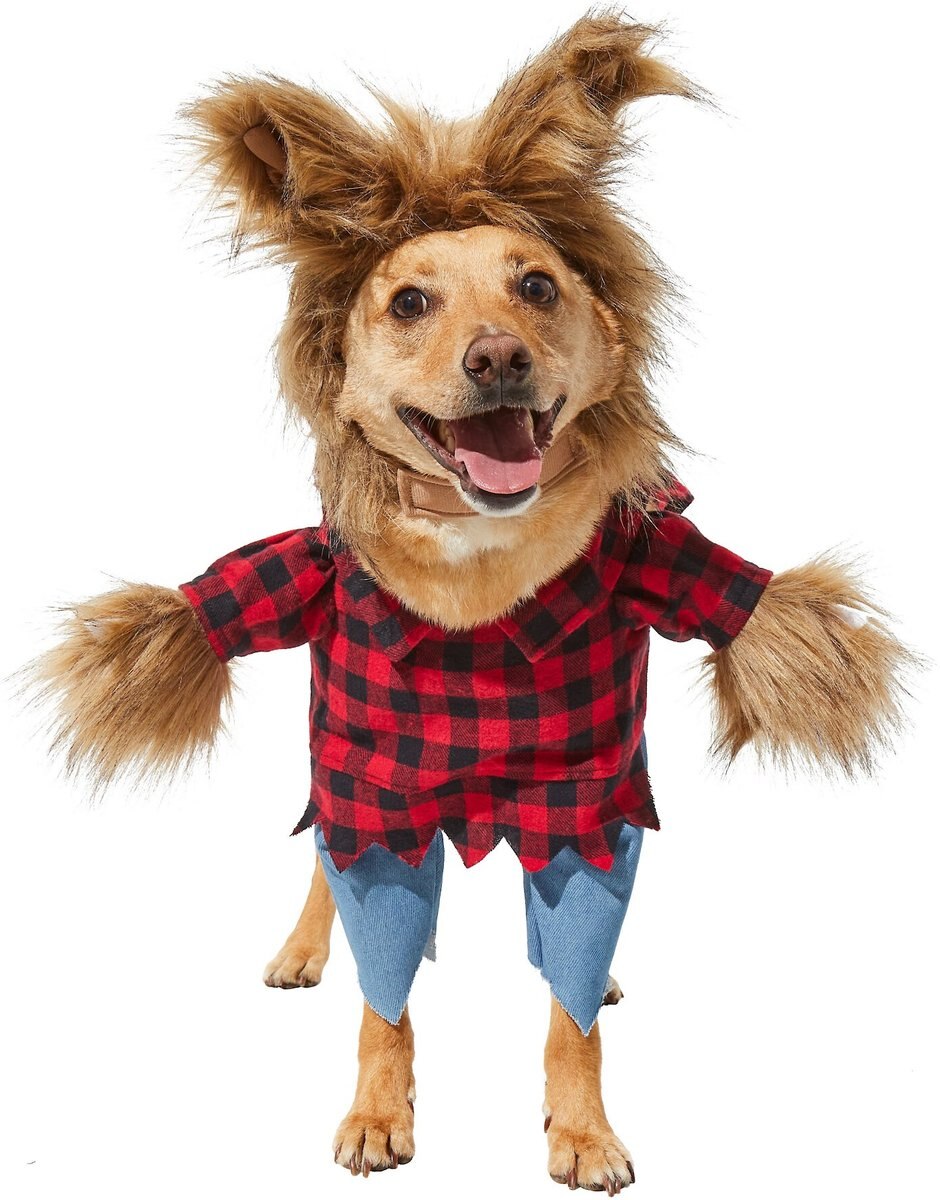 Frisco Front Walking Werewolf Dog and Cat Costume