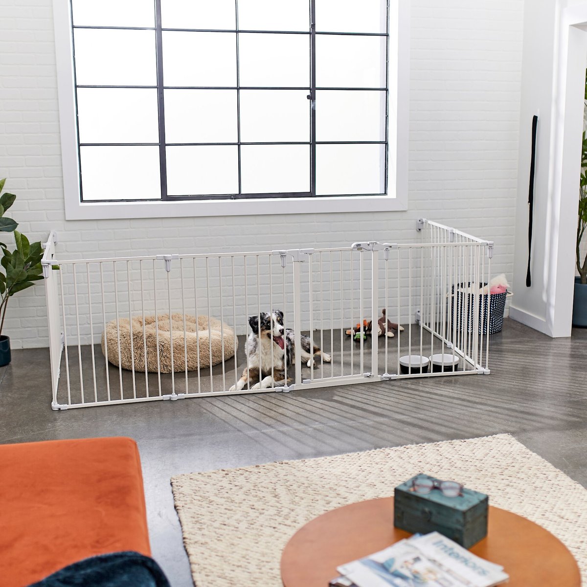 Frisco Steel 8-Panel Configurable Dog Gate and Playpen