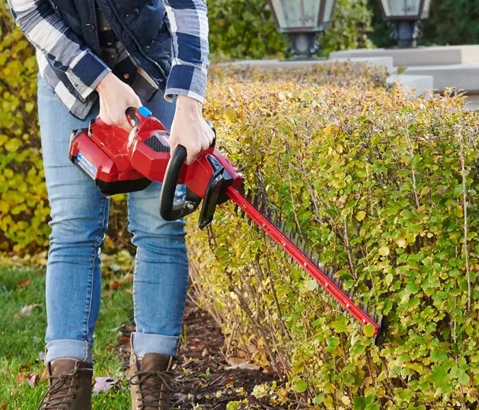 Toro 60-Volt Max Lithium-Ion Electric 24Hedge Trimmer